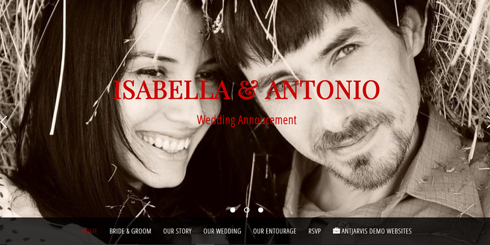 Engagement Website - Screen Image 2 Link